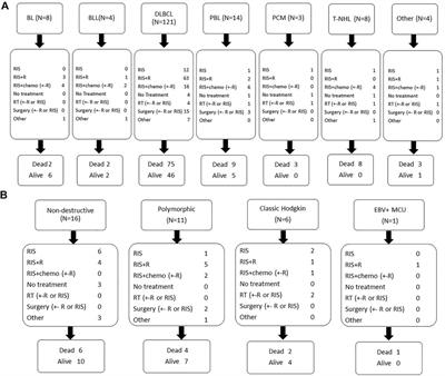 Characteristics and Outcome of Post-Transplant Lymphoproliferative Disorders After Solid Organ Transplantation: A Single Center Experience of 196 Patients Over 30 Years